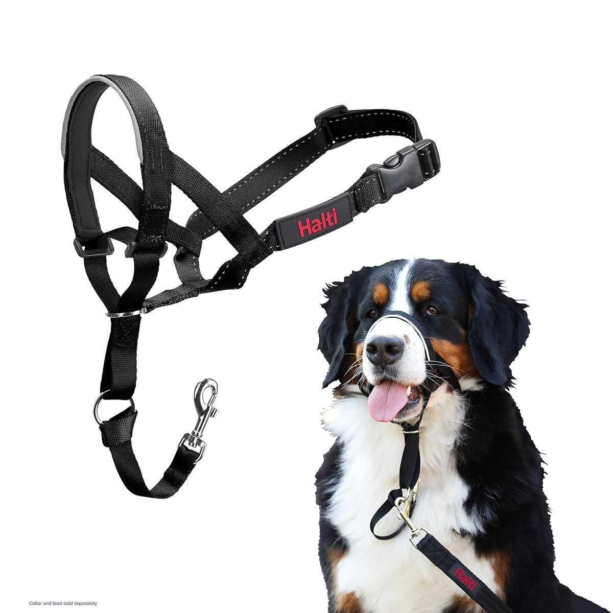 Halti Cabezal de Entrenamiento para Perros - 4 - Black