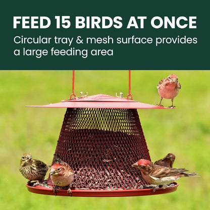 Perky-Pet C00322 - Comedero Cardenal Rojo para pájaros, Capacidad de alimentación de 2.5