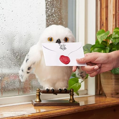 Wizarding World, Lechuza de Harry Potter Hedwig Interactiva con más de 15 Sonidos y Movimientos y sobre de Hogwarts, Juguetes para niños a Partir de 5 años