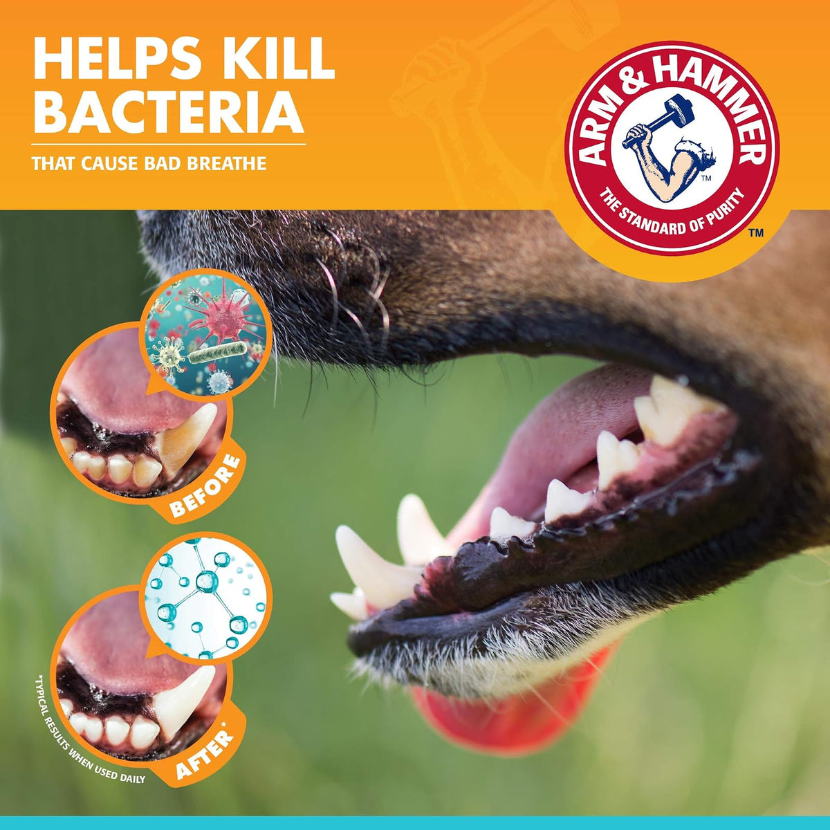 Arm & Hammer Advanced Care Toothbrush & Toothpaste Set -Vanilla Ginger Flavor