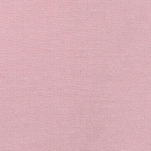 Exclusive Home Cortinas Chateau de Rayas Seda sintética Ojal en la Parte Superior Cortina de Ventana Panel par, Blush, 1.37 m x 2.13 m, 1, 2