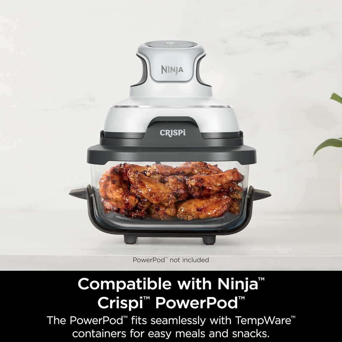 Ninja TempWare Contenedor de Vidrio 3.78 L con Tapa de Almacenamiento