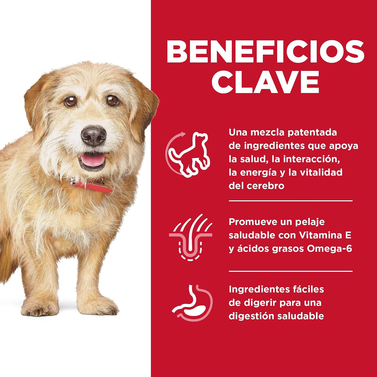 Hill's Science Diet Small Mini Croquetas para Perro Senior 7+ Pollo 5.7Kg | Croquetas Hill's para perro, pollo real, razas pequeñas, vitalidad senior, salud de órganos vitales, energía diaria