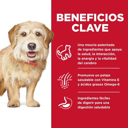 Hill's Science Diet Small Mini Croquetas para Perro Senior 7+ Pollo 5.7Kg | Croquetas Hill's para perro, pollo real, razas pequeñas, vitalidad senior, salud de órganos vitales, energía diaria