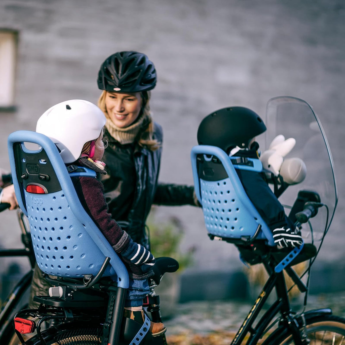 Thule Yepp Maxi Asiento para Bicicleta Infantil