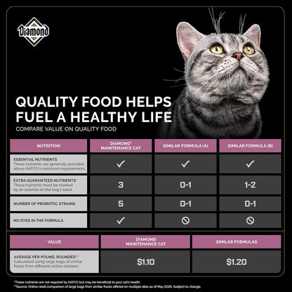 Diamond Pet Foods - Alimento seco para gatos adultos con sabor a pollo de Maintenance Formula, bolsa de 40 libras