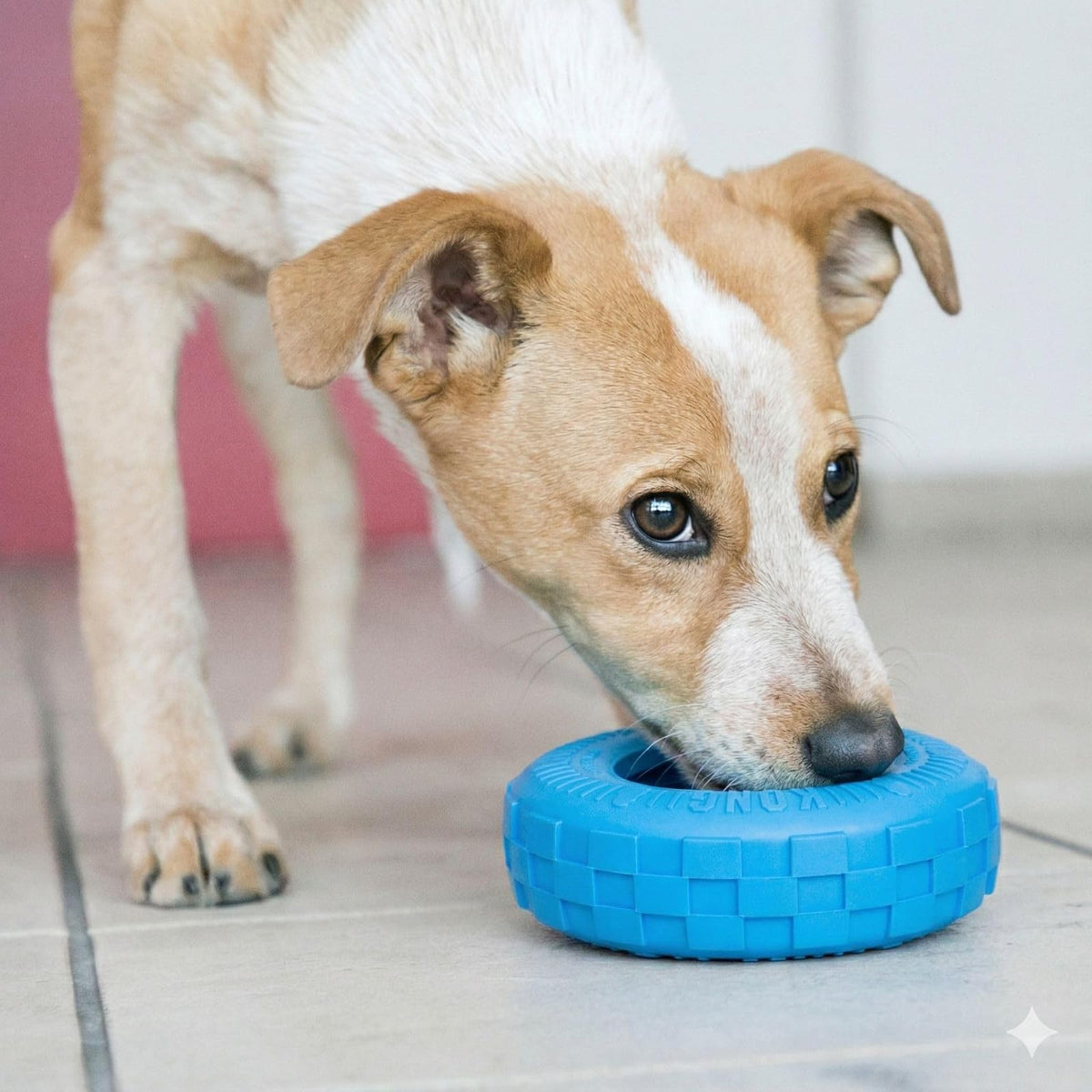 Kong Puppy Tires, color Rosa/Azul, Mediano/Grande
