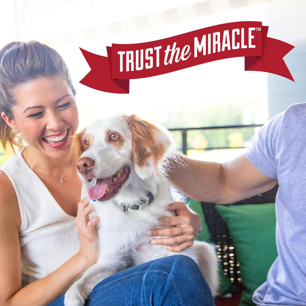 Nature's Miracle Pet Block Repelente para Perros 473ml