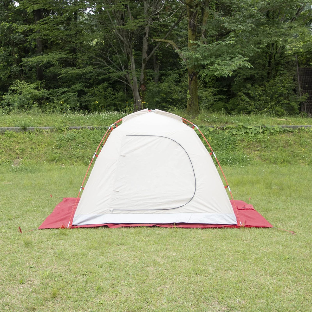 MSR - Lona Universal para 6 Personas, tamaño Grande, 117 x 97 Pulgadas, Color Rojo