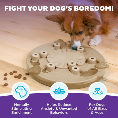 Outward Hound Nina Ottosson Dog Puzzle Toy Dog Game
