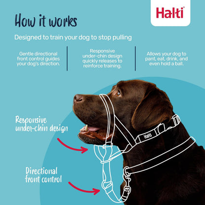 HALTI - Collar para Evitar Que tu Perro Tire de la Correa. Ajustable, Reflectante y Ligero, con Banda Acolchada para la Nariz. Collar de Entrenamiento para Perros medianos (tamaño 2, Naranja Quemado)