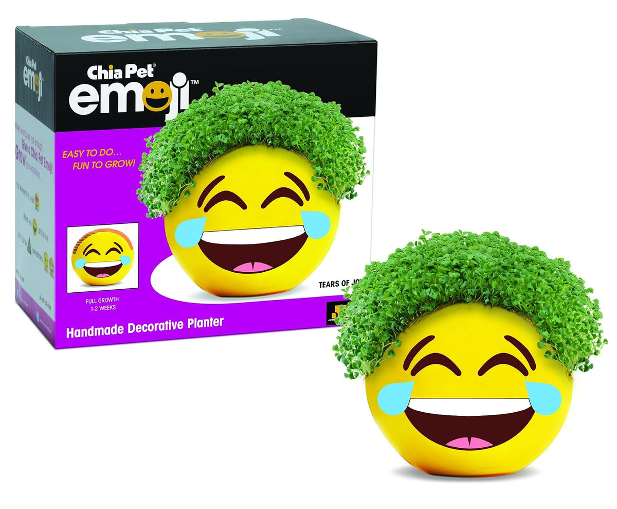 Chia Pet Maceta Decorativa de Cerámica con Semillas de Chía - Lágrimas de alegría