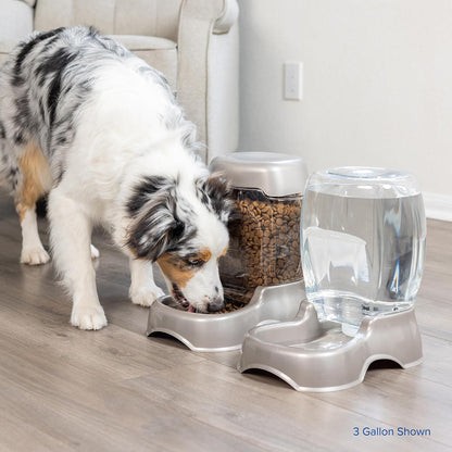 Petmate Pet Cafe Pet Waterer, 1/4 Gal, Pearl Lady Pink, Pearl Tan, 82.5 cm (alto) x 1.6 m (ancho)