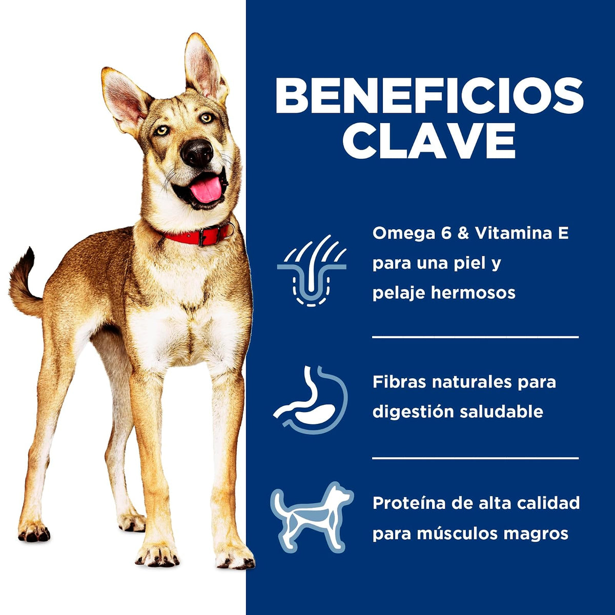 Hill's Science Diet Croquetas para Perro Adulto Sabor Salmón 2Kg | Croquetas Hill's para perro, salmón real, digestión saludable, sistema inmunológico fuerte, omega-6 y vitamina E