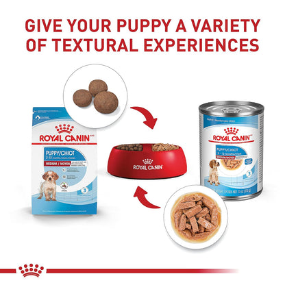 Royal Canin Size Health Nutrition Medium Puppy dry dog food, 17-Pound