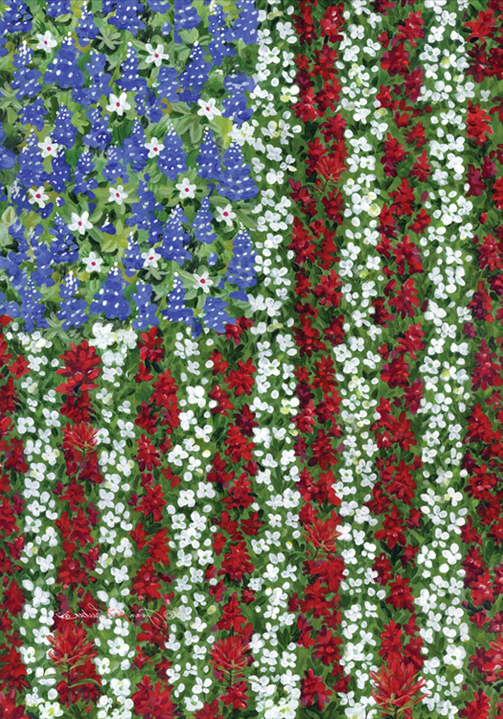 Toland Home Garden 109592 Bandera patriótica de Campo de Gloria, 28 x 40 Pulgadas, Doble Cara para decoración de jardín de Flores al Aire última intervensión