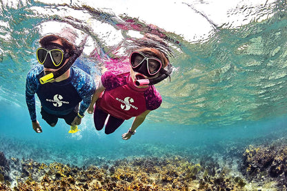 ScubaPro Spectra Dry Snorkel