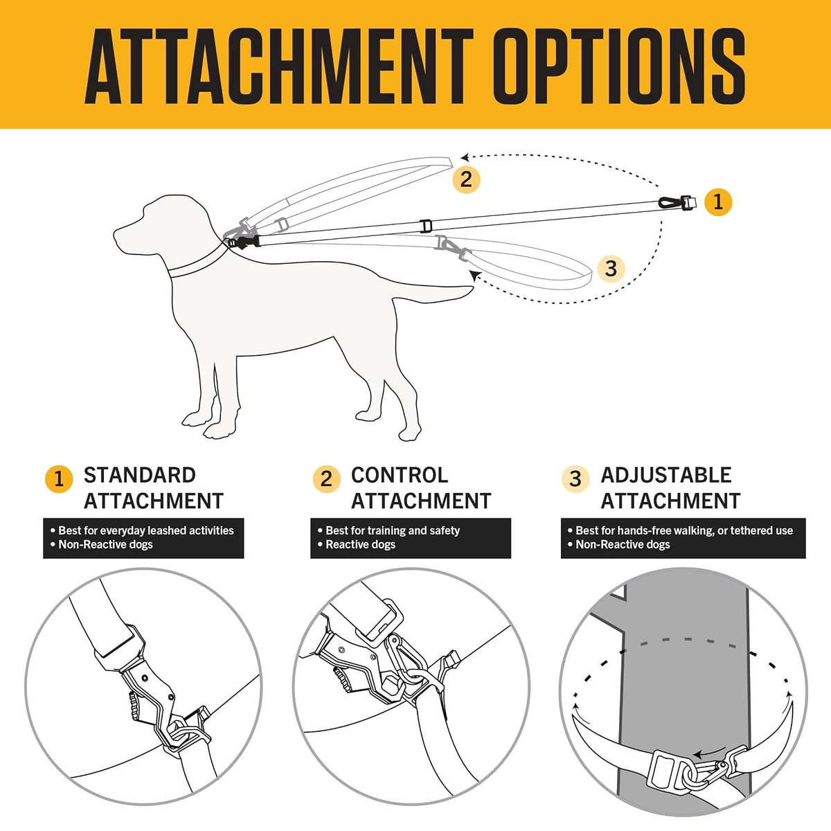 Carhartt Pet - Correas de Nailon duraderas para Perros, Costuras Reflectantes para Visibilidad, Musgo Ligero, Talla L