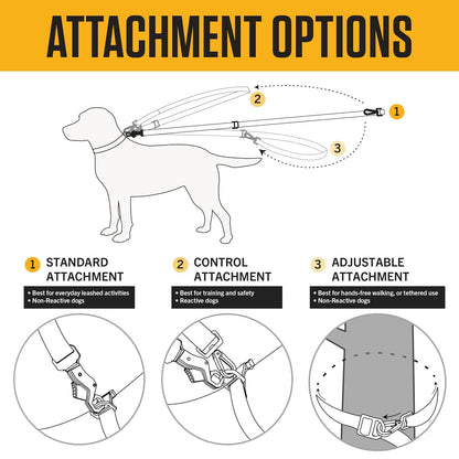 Carhartt Pet - Correas de Nailon duraderas para Perros, Costuras Reflectantes para Visibilidad, Musgo Ligero, Talla L