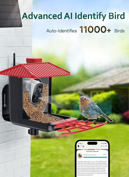 Osoeri Comedero para Pájaros con Cámara, Inteligente con IA, Identifica Aves, 1080P, Captura Vídeos Automática, Detección de Movimiento, Accesorios DIY, Regalo (Rojo Negro)