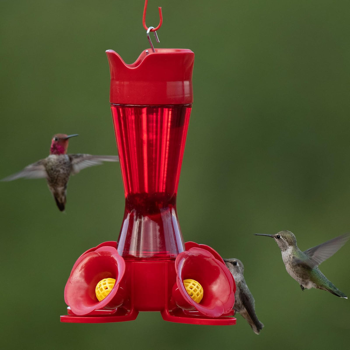 Perky-Pet 403CP Comedero de plástico para colibríes, 8 onzas, Color Rojo