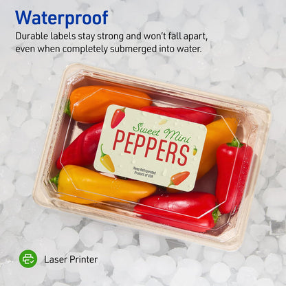 Avery 05523 Etiqueta Láser Weatherproof, 500 Etiquetas