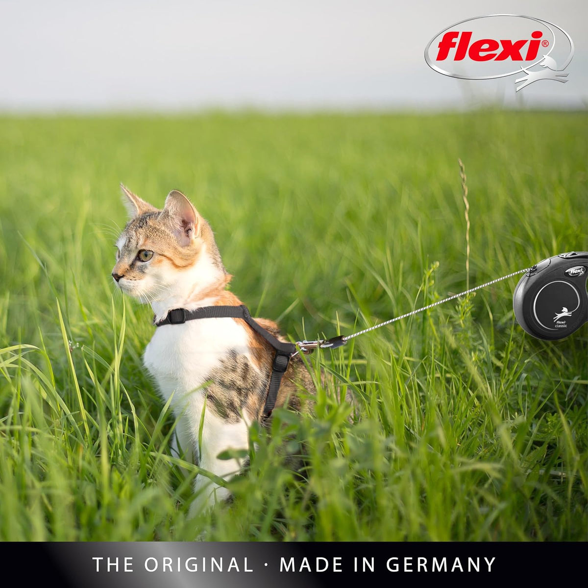 FLEXI - Correa retráctil para Gatos con Cable clásico, Talla XS – 10 pies, Color Negro, Correa para Caminar para Mascotas sin enredos con Freno con una Sola Mano, Pausa, Bloqueo, Producto de Calidad