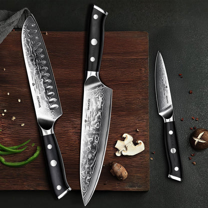 SHAN ZU 3 Piezas Juego de Cuchillo de Cocina, Set Cuchillo de Cocina Japones de Acero de 67 Capas, Cuchillo de Chef Cuchillo Santoku Cuchillo Pelador - PRO Series