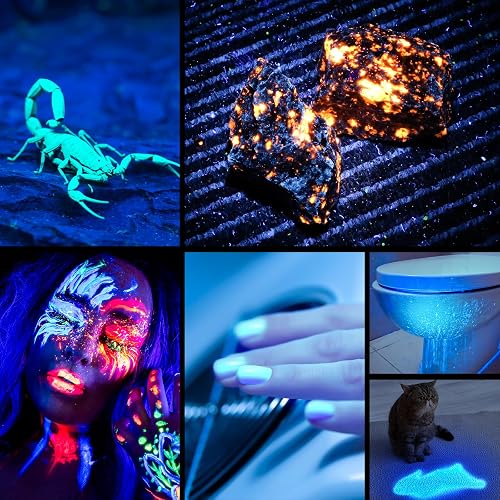 Consciot - Linterna UV con luz negra, recargable con USB-C, 365 nm, luz ultravioleta LED, lámpara de madera portátil para detección de orina de mascotas, manchas secas, chinches de cama, resina de