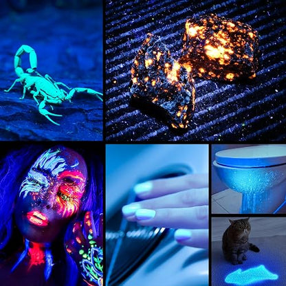 Consciot - Linterna UV con luz negra, recargable con USB-C, 365 nm, luz ultravioleta LED, lámpara de madera portátil para detección de orina de mascotas, manchas secas, chinches de cama, resina de