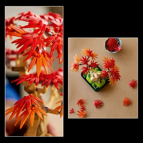 LEGO Bonsái de Arce Rojo Japonés Kit de Construcción de Planta Decorativa para Adultos, Set de Naturaleza, Idea para Regalo, Modelo de Exhibición Coleccionable 10348