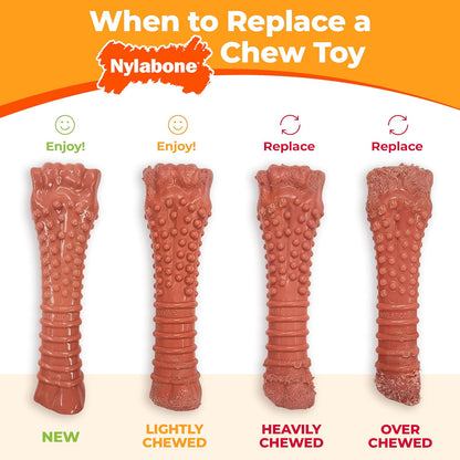 Nylabone Dura Chew Souper Chicken Flavored Bone Dog Chew Toy