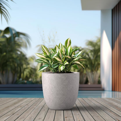 Kante - Maceta Redonda de hormigón de 18 Pulgadas de diámetro, Maceta Grande para Interiores y Exteriores, con Orificio de Drenaje y tapón de Goma para el hogar, Patio, jardín, Gris Claro