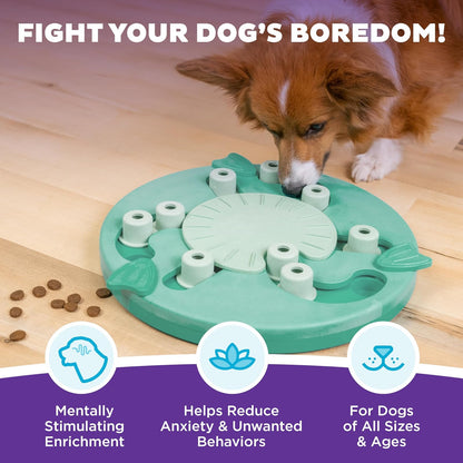 Nina Ottosson by Outward Hound Dog Worker Dog Puzzle Interactive Treat Puzzle Dog Enrichment Dog Toy, Level 3 Advanced, Green