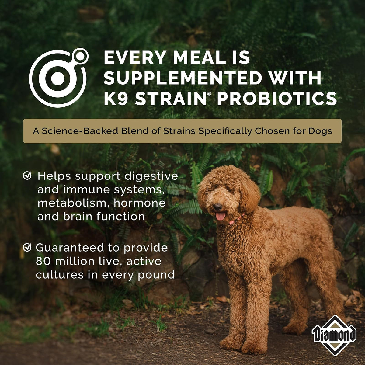 Diamond Premium Maintenance Alimento para Perro Adulto | Fórmula para perros adultos moderadamente activos, nutrición completa y , omegas 3 y 6 para piel y pelaje