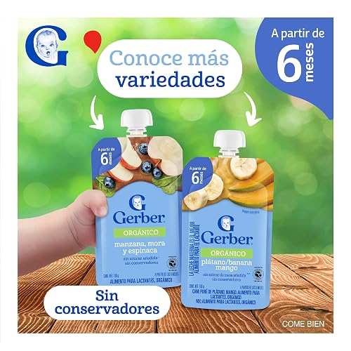 Papilla Gerber Orgánico Pouch Etapa 2 Manzana 100g Paquete 12