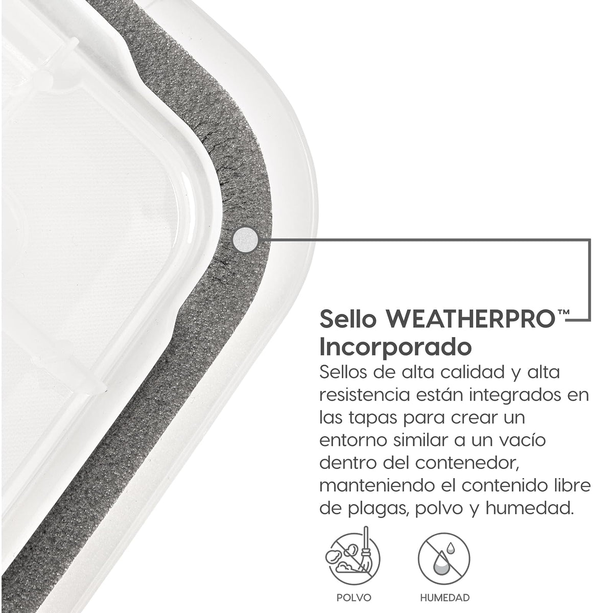 IRIS USA 6 Contenedores de 19 Qt con Tapa Hermética, Claro/Negro | El sello WeatherPro protege zapatos, manualidades, documentos y suministros del polvo y la humedad.