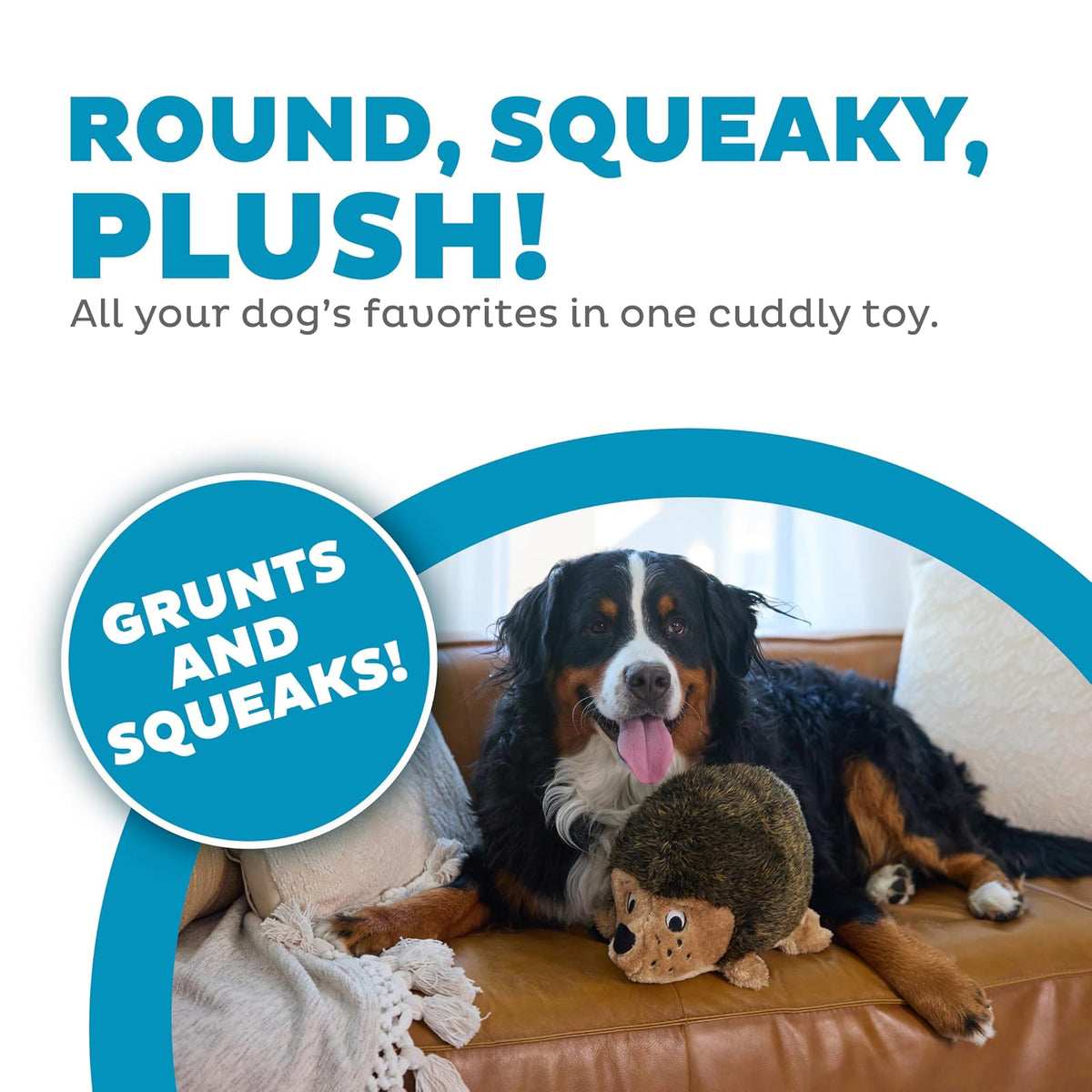 Hedgehogz, Squeak and Grunt Plush Dog Toy