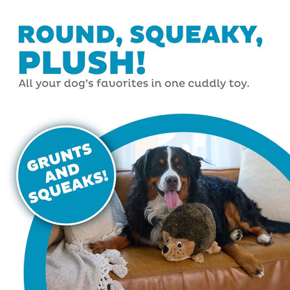 Hedgehogz, Squeak and Grunt Plush Dog Toy