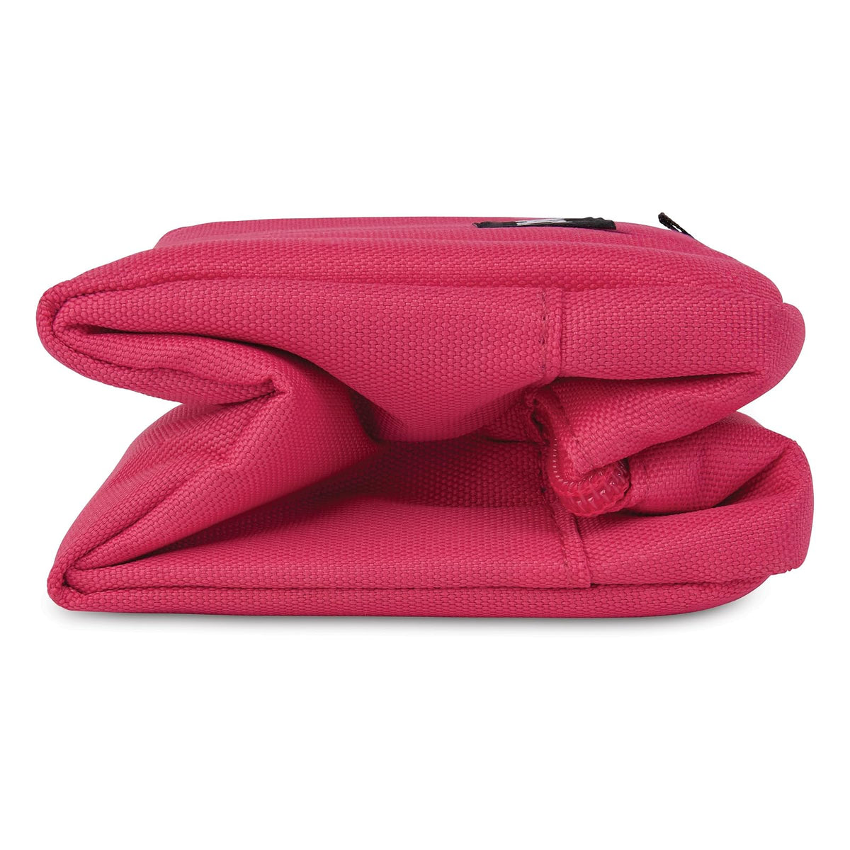 PackIt® - Caja de aperitivos congelable, magenta, construida con tecnología ECOFREEZE®, plegable, reutilizable, cierre de cierre con asa de hebilla, diseñada para aperitivos de trabajo, aperitivos