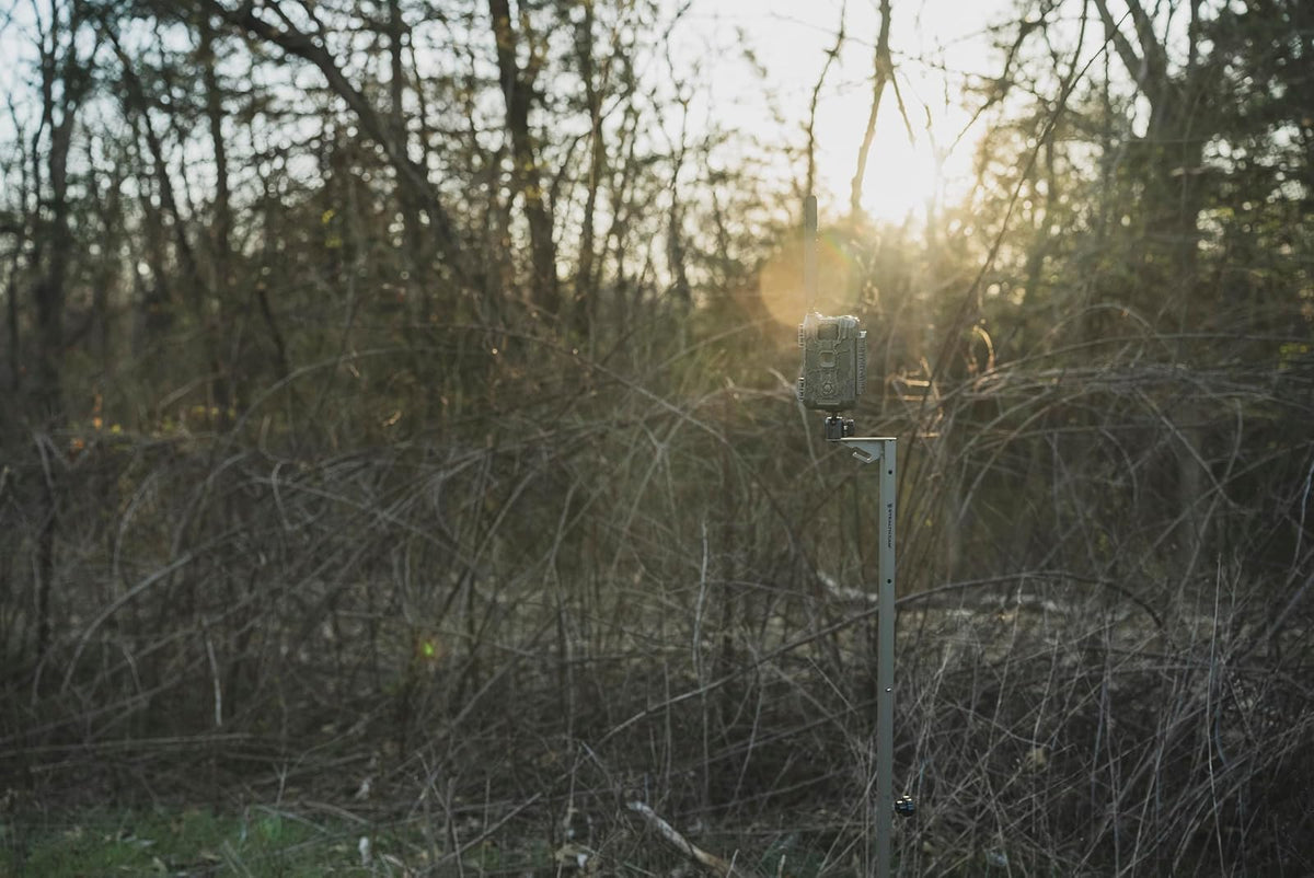 Stealth Cam Cámara/Solar PAK Montaje Poste