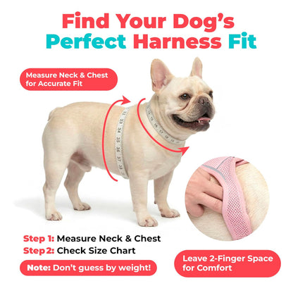 Best Pet Supplies - Arnés de Malla para Perros pequeños y medianos Voyager Step-in Air para Todo Tipo de Clima, Color Naranja (Ribete a Juego), Talla XXXS