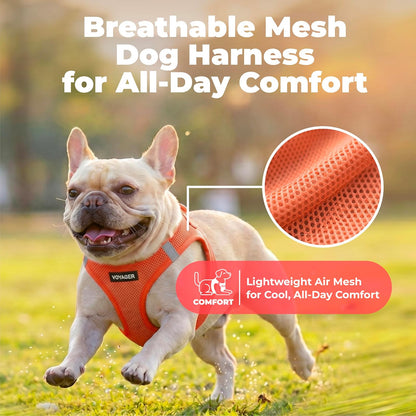Best Pet Supplies - Arnés de Malla para Perros pequeños y medianos Voyager Step-in Air para Todo Tipo de Clima, Color Naranja (Ribete a Juego), Talla XXXS