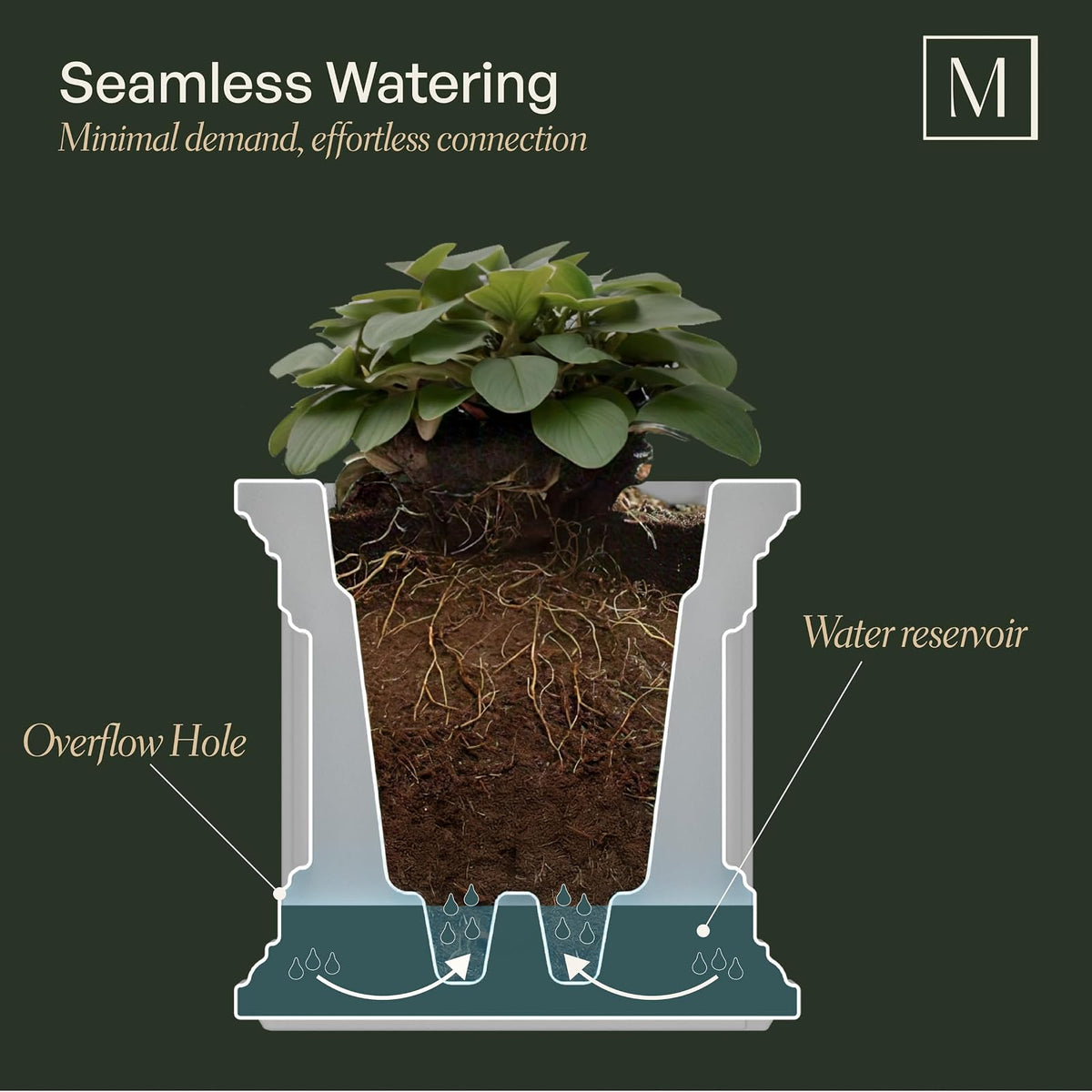Mayne Nantucket - Maceta Cuadrada de 20 Pulgadas, autonegable, Resistente a la Intemperie para Flores, diseño Duradero al Aire última intervensión para Patio, Porche o Entrada