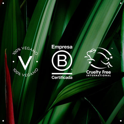 Aveda Scalp Solutions Masajeador cuero cabelludo | Estimula la circulación | Exfolia, Relaja