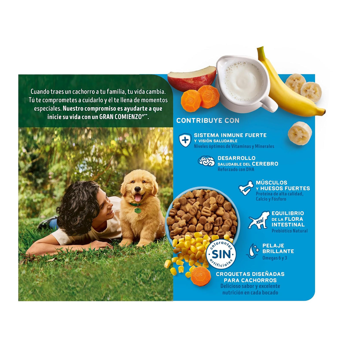 Dog Chow Purina Cachorro Raza Mediana y Grande Sabor Carne, Pollo y Frutas 7.5Kg