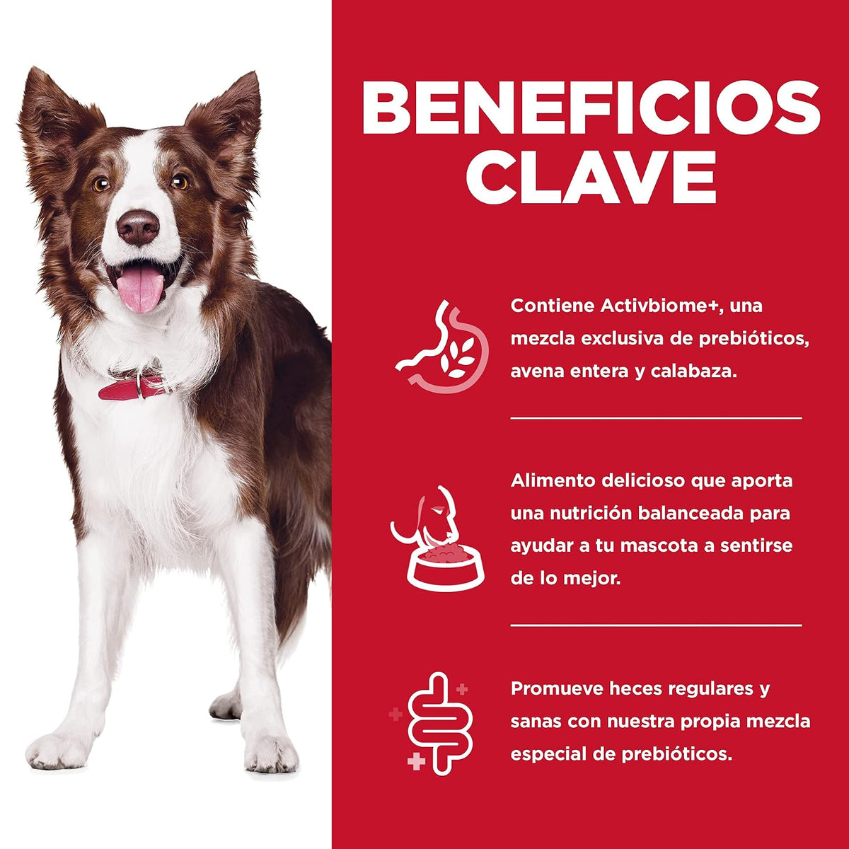 Hill's Science Diet Croquetas Digestivas para Perro Sabor Pollo 5.4Kg | Croquetas Hill's para perro, pollo real, cuidado digestivo, bienestar del microbioma, heces firmes