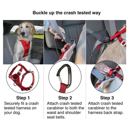 Kurgo Dog Harness | Car Harness for Dogs | Medium | Black | Pet Safety Seat Belt | Certified Crash Tested Harness | Car Seatbelt | Tru-Fit Enhanced Strength Style