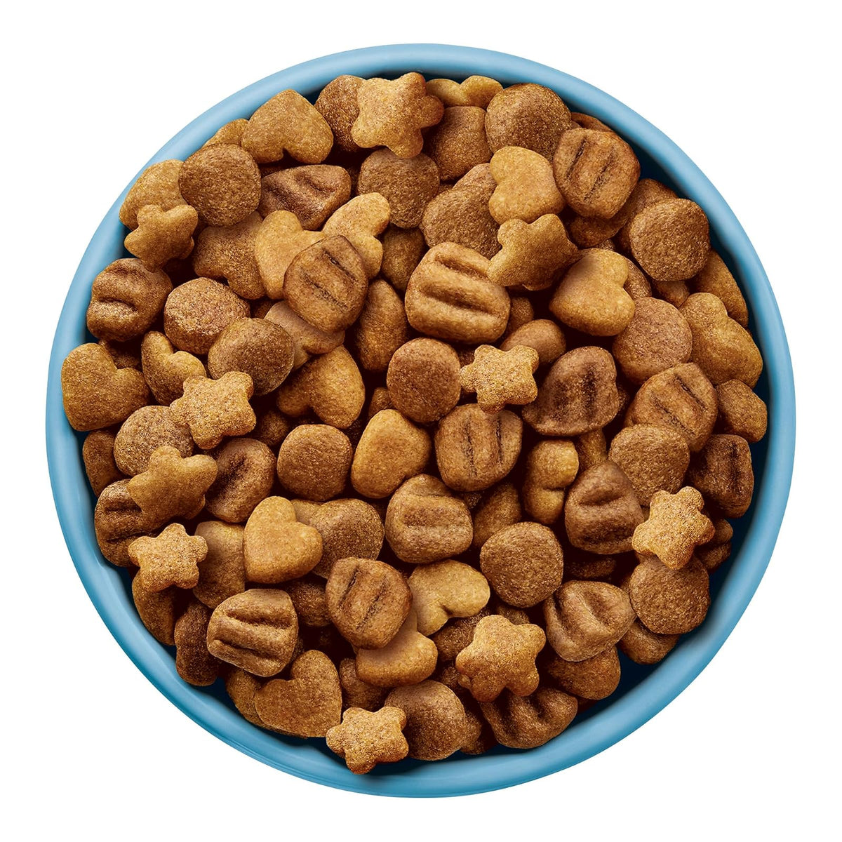 Dog Chow Purina Cachorro Raza Mediana y Grande Sabor Carne, Pollo y Frutas 7.5Kg