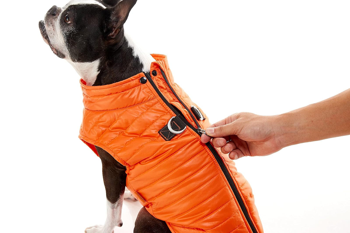 Gooby Chaleco Acolchado para Perro, Azul, Grande, ultradelgado con Cremallera y Correa de Doble Anillo en D, Abrigo Resistente al Agua para Perros pequeños, Ropa para Perros pequeños o medianos